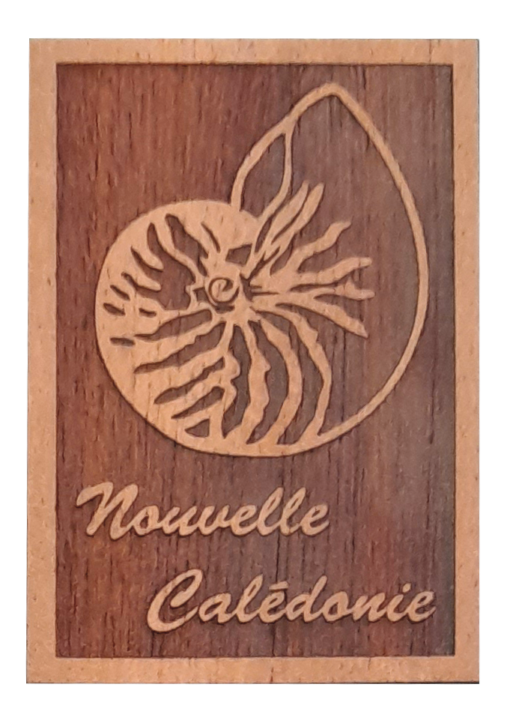 Magnet "Nautile" en bois local - Laser Art Pacific